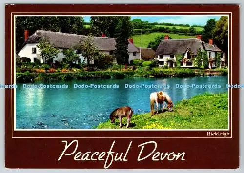 D310623 Friedliche Devon Bickleigh John Hinde Irland PM North Devon 1985 Postkarte