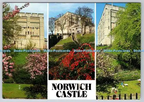 D308069 England Norfolk Norwich Castle Jarrold Postkarte 1995 Kitkat Briefmarke Multi