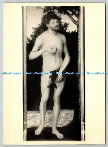 D304691 Lucas Cranach Le Vieux Adam Bruxelles Musee d Art Ancien Ern Thill Nels