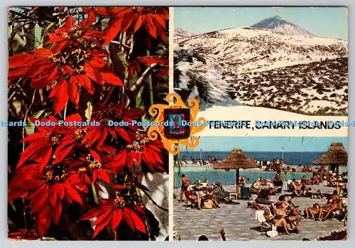 D302112 Teneriffa Kanarische Inseln Verschiedene Aspekte der Insel Teneriffa Fisa Es