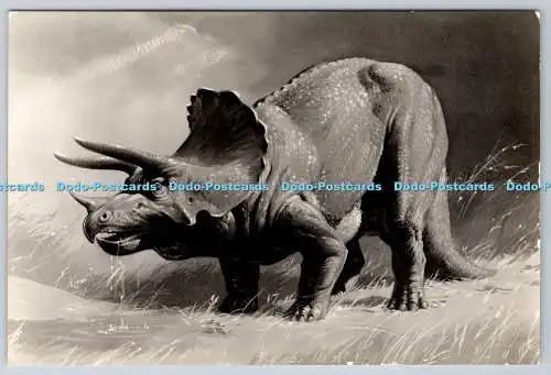 D308072 Triceratops Pflanze frisst gehörnten Dinosaurier Lebte vor 70 Millionen Jahren Brit