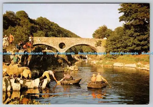 D310731 Gefärbte Coracles in Cenarth Cyfarchion o Gymru Grüße aus Wales J Arth