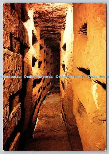 D304816 Roma Via Napoleone III Catacombe di S Callisto A Gallery Pont Commission