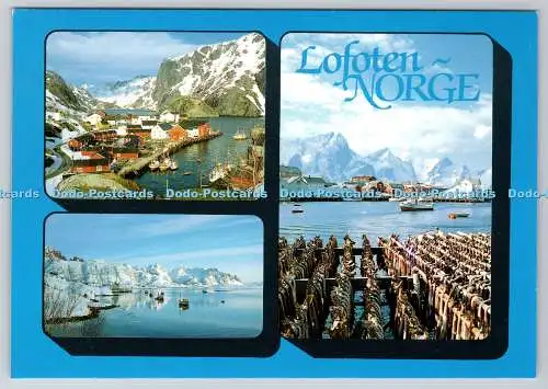 D302235 Lofoten Norge Nusfjord Hamnoy TO FOTO Multi View