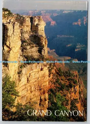D304820 Grand Canyon Arizona Dick Dietrich Petley Studios 1987