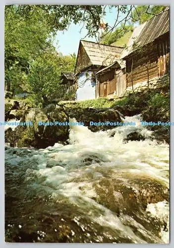 D304823 Haus am Fluss Ion Miclea I P Sibiu Transilvania Publicitate