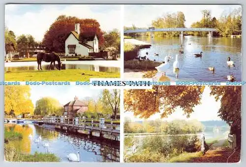 D308199 Thames Path Goring Schleusenhaus Whitchurch Bridge Shiplake Lock Henley Rea