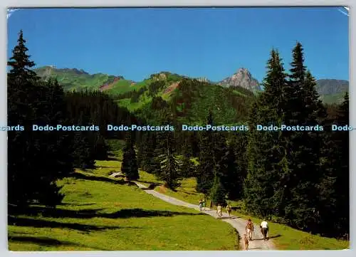 D302309 Flumserberg Am Weg nach Seebenalp Nr 2692 1990