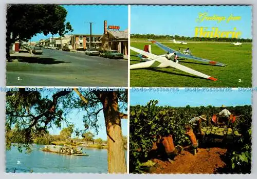 D310905 South Australia Greetings from Waikerie Nucolorvue Productions NCV 564 P