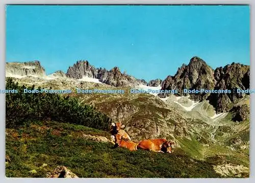 D302347 Berner Oberland Am Sustenpass Steinalp Rowesa