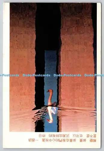D304941 Swan Zhejiang Photographic Press 1993