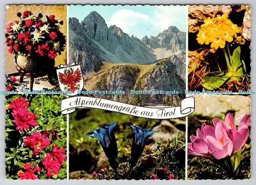 D302366 Alpenblumengrusse aus Tirol Krokus Enzian Platenigi Alpine Luftbild Mult