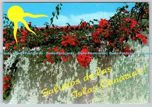 D302368 Salutos de la Islas Canarias RO FOTO
