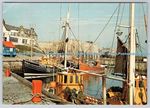 D308325 Northumberland Seahouses Harbour W C Wright J Arthur Dixon DRG Great Bri