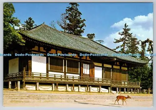 D302370 National Treasure Hokkedo or Sangatsudo Temple Todaiji Temple