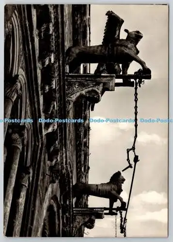D304950 Perugia Das Rathaus perugischer Gänseblümchen und Welfen Anjouan Löwe Rotalfoto