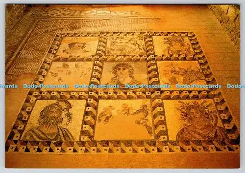 D308454 Zypern Paphos Berühmtes antikes Mosaik N G Triarchos Nikosia Hergestellt in Israel