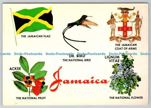 D311085 Jamaica Ackee Dr Bird The Novelty Trading Dexter Supreme