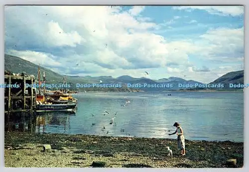 D302564 Ross Shire Loch Broom von Ullapool J Arthur Dixon Ltd