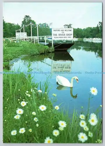 D305243 Harleyford River Shop Landing Stage Quad Printing Hounslow Middx