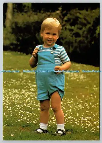 D305246 HRH Prinz William von Wales Sein zweiter Geburtstag 21. Juni 1984 ILN Pritcha