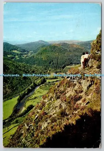 D305277 Abgrundspaziergang bei Dolgelley Merionethshire R W Jones J Arthur Dixon 19