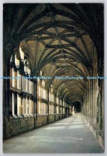 D305278 Wells Cathedral Somerset The Cloisters J Arthur Dixon Newport England