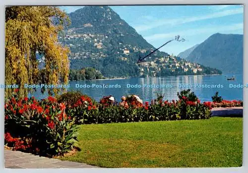 D308764 Schweiz Lugano Monte Bre Farbfoto MAYR N 83 PM Castagno 1968