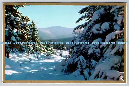 D308770 Winterszene mit verschneiten Bäumen und Bergen im Hintergrund Vintage Ca
