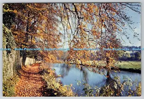 D308771 Surrey Guildford River Wey F I B P Kenneth Scowen F R P S J Arthur Dixon