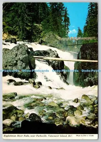 D305410 Englishman River Falls bei Parksville Vancouver Island British Columbia
