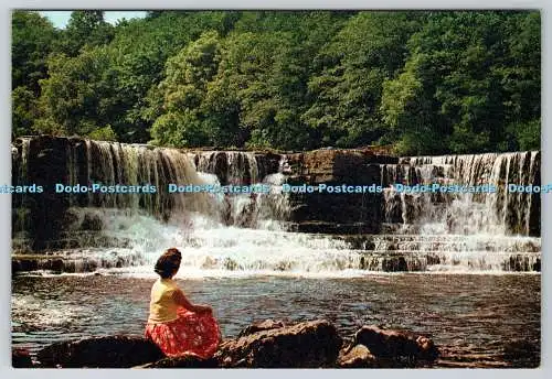 D308785 Yorkshire Aysgarth Force D J Elphee J Arthur Dixon Newport Farbfotografie
