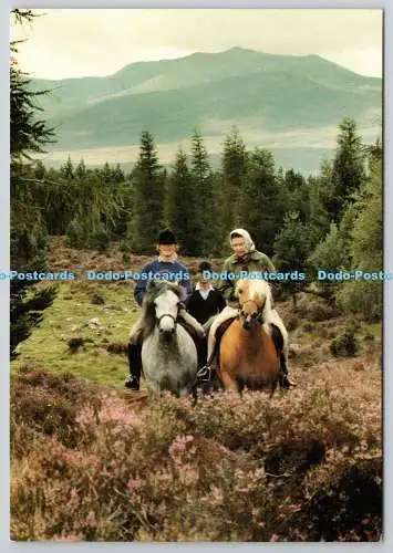D305435 Die Königin der Prinz Edward und die Herzogin von York reiten bei Balmoral Duke