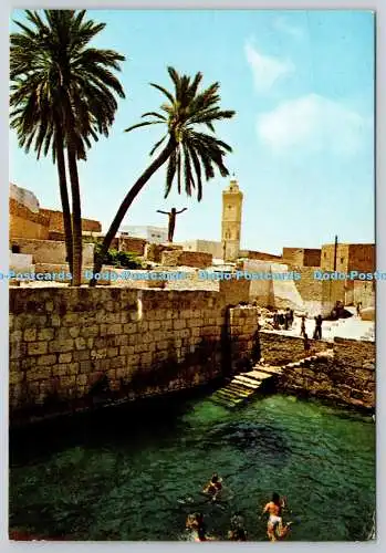 D305437 Gafsa Das römische Schwimmbad Editions Kahia Tunis