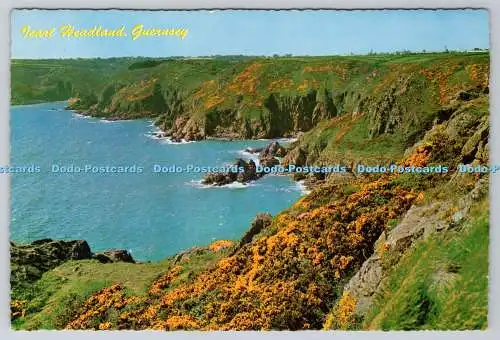 D308867 Guernsey Icart Landzunge Guernsey Großhandel St Sampsons The Photographic