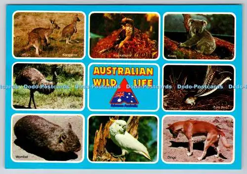 D311514 Australian Wild Life Koala The Rose Stereograph Rose Series Colorview Mu