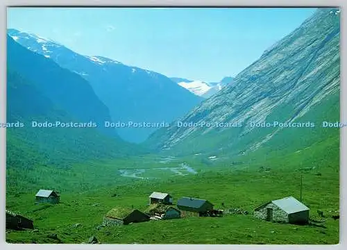 D308892 Norwegen Norge Skaeringsdal Tal An der Grotli Stryn Straße Normanns Kunst