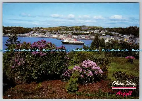 D308951 Argyll Pulpit Hill Oban Bay Schottland im Fokus Whiteholme Dundee Postkarte