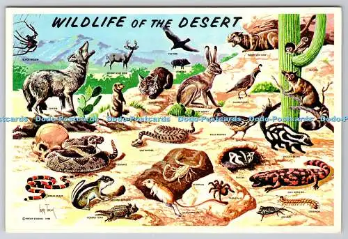 D311595 Wildlife of the Desert Petley Studios