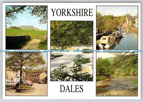 D308968 Yorkshire Dales Pen y Gent Skipton Aysgarth Falls River Wharfe Grassing