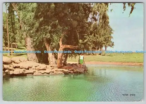 D311614 Harod Spring Gideon Cave Palphot