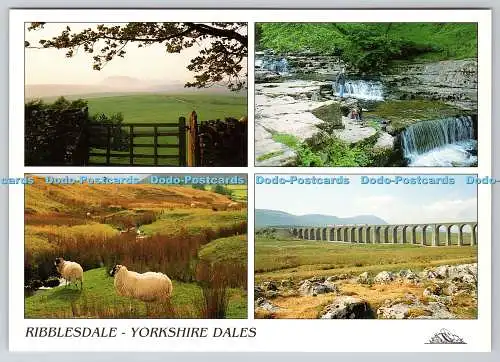 D308969 Yorkshire Dales Ribblesdale Penny Gent Stainforth Force Viaduct Millsto
