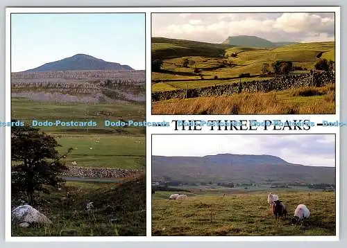 D308971 The Three Peaks Ingleborough Pen y gent Whernside Yorkshire Dales Colle
