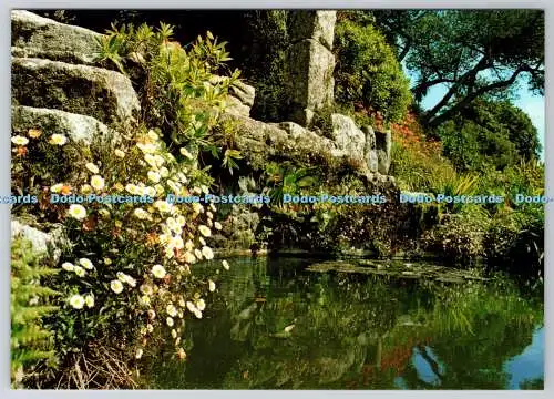 D308980 Cornwall Isles of Scilly Gardens at Tresco F E Gibson St Marys Beric Tem