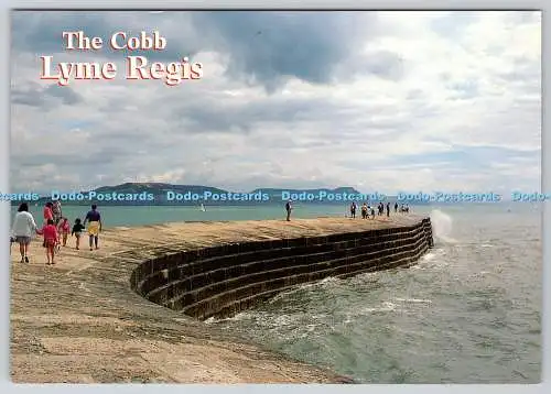 D308983 Dorset Lyme Regis The Cobb J Salmon Sevenoaks Kamerafarbe Postkarte Englisch