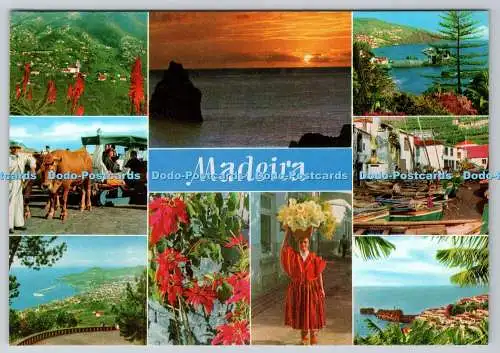 D309013 Madeira Die besten Aussichten Hans Huber KG Garmisch Partenkirchen Westdeutschland