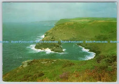 D311663 Boscastle North Cornwall Die Hafeneinfahrt von Willapark Larkfield P