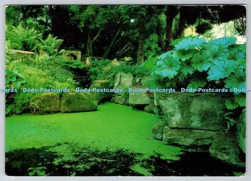 D311691 North Yorkshire Newby Hall Gardens Ripon Larkfield Printing Dominic Coop