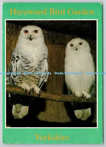 D305768 Yorkshire Hasenholz Vogel Garten Schneeeulen Vintage Karte