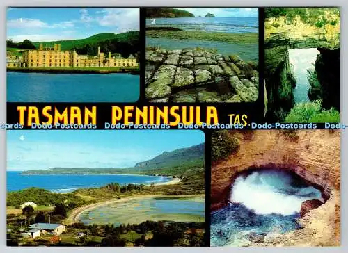 D311777 Tasman Peninsula Tas The Blowhole Nucolorvue Productions Multi View